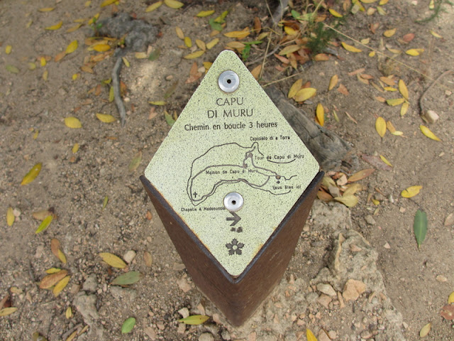 topo guide ign gratuit